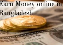 Earn Daily 100 Dollar online by BKash. Money Earning App 2023